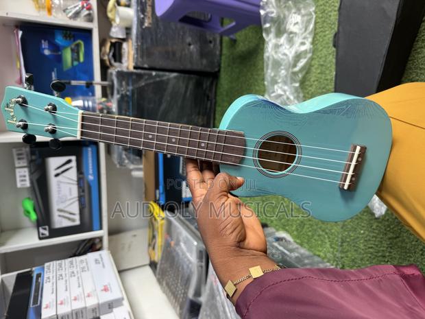 Acl Ukulele for Professionals · Photo 1