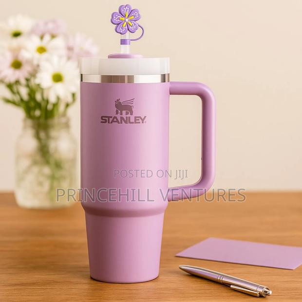 Stanley Cup Tumbler / Insulated Mugs · Photo 4