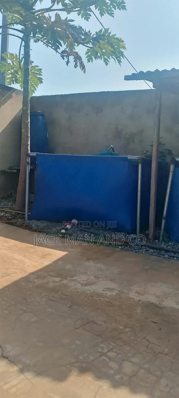 Long Lasting Tarpaulin Fish Tank/Pond · Photo 5