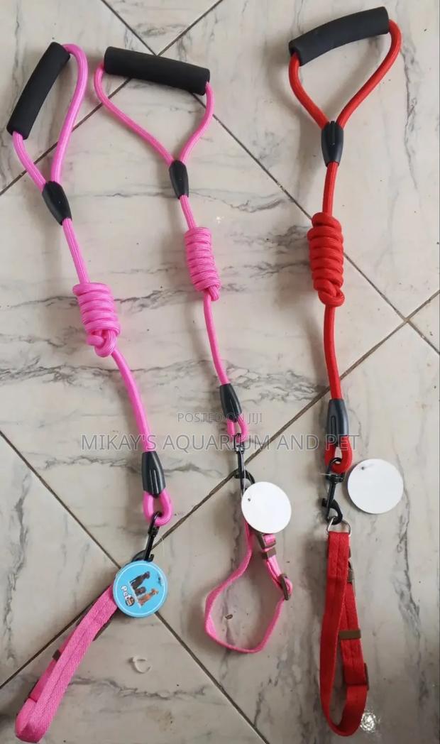 Leash With Collar for Dogs and Cats · Photo 1