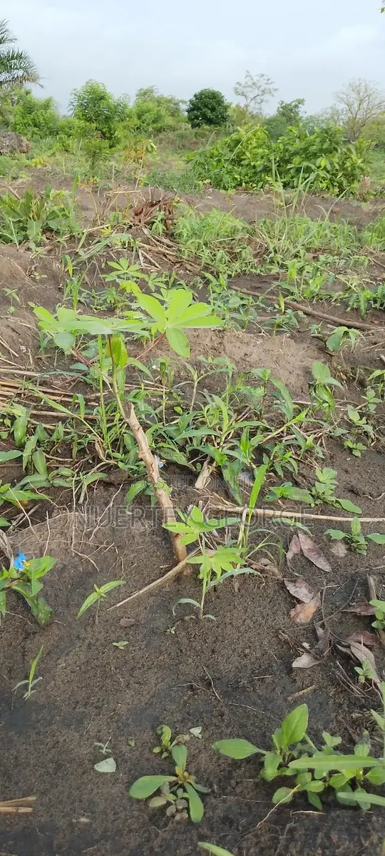 Land for Sale (UHAS Area) Ho · Photo 1