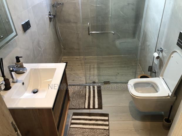 Furnished 2bdrm Apartment in Cantonments,American for rent · Photo 5