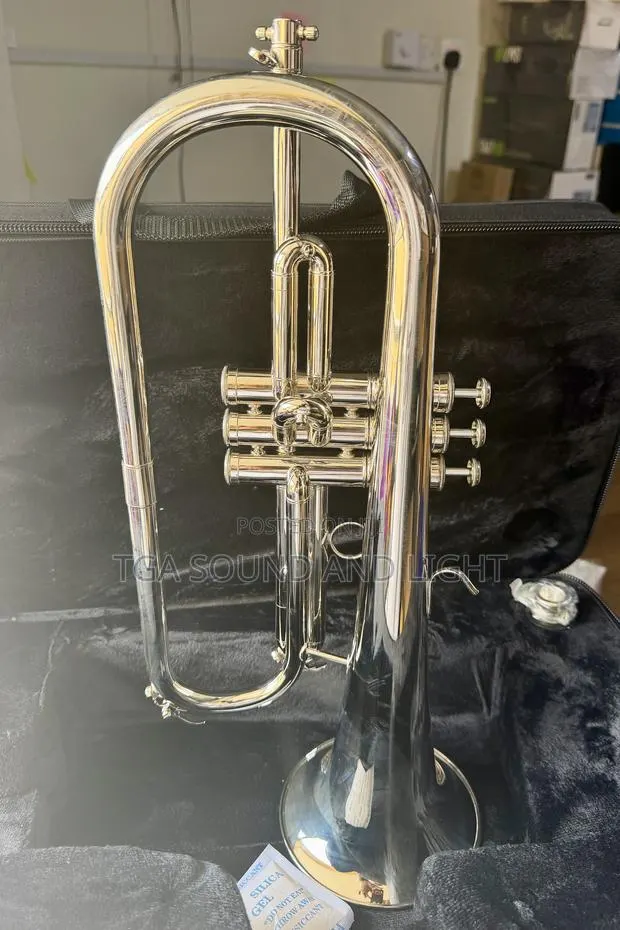 Titanic Usa Yfh-631gs Bb Flugelhorn - Silver · Photo 1