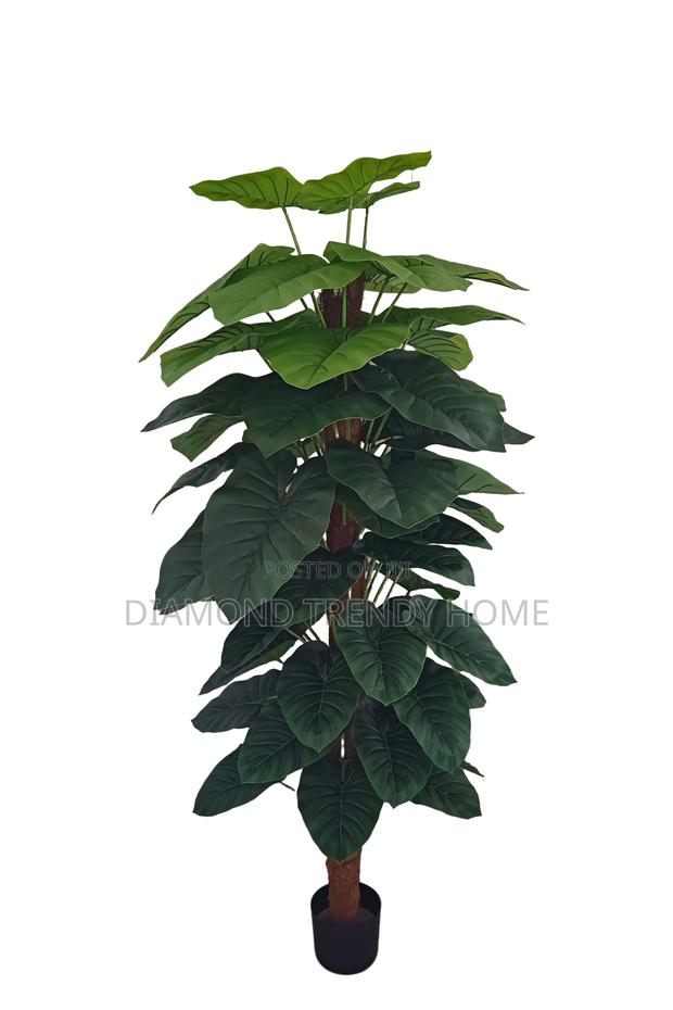 Artificial Plants · Photo 2