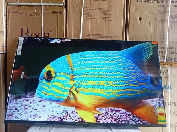 Humble Abord Sigma55 · Photo 2