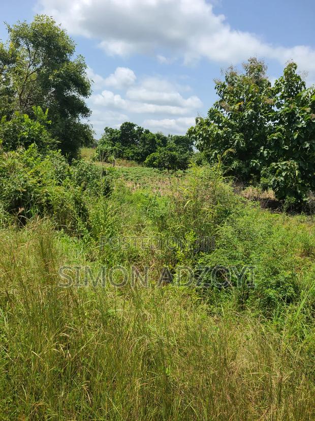 500 Acres of Reva Front the Alarm. · Photo 3