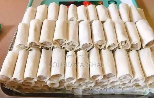 Frozen Spring Rolls · Photo 1