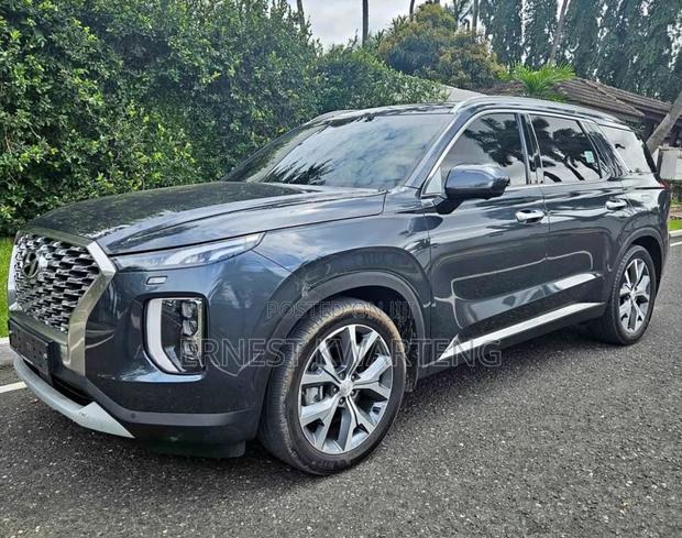 Hyundai Palisade 2019 Blue · Photo 2