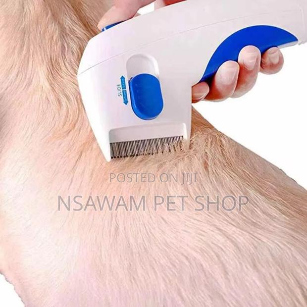 Flea Doctor · Photo 3