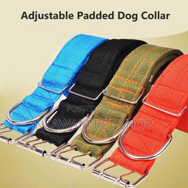 Adjustable Collar · Photo 2