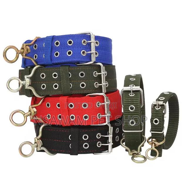 Adjustable Collar · Photo 3