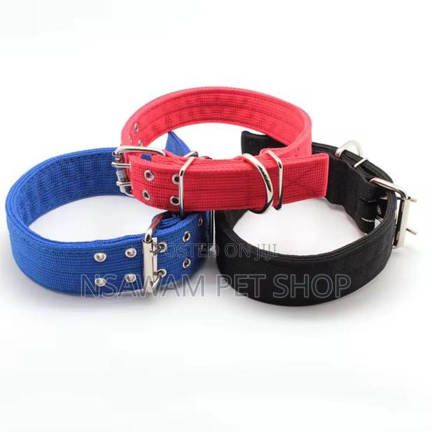 Adjustable Collar · Photo 4