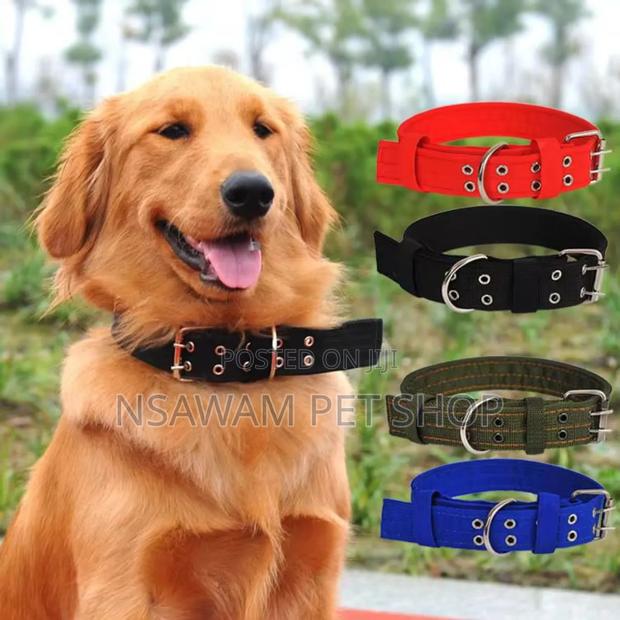 Adjustable Collar · Photo 1
