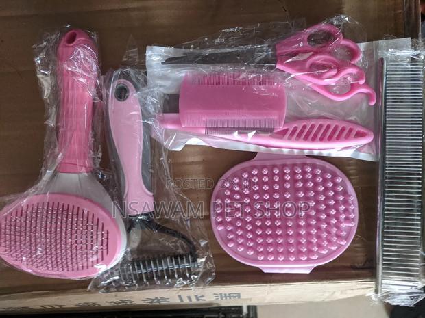 Ten in One Brush · Photo 1