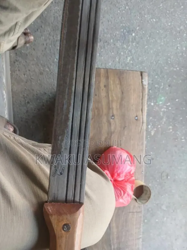 Crocodile Cutlass · Photo 1