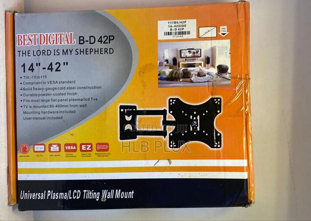 Adjustable, Convertible, Tilting Wall Mount · Photo 2