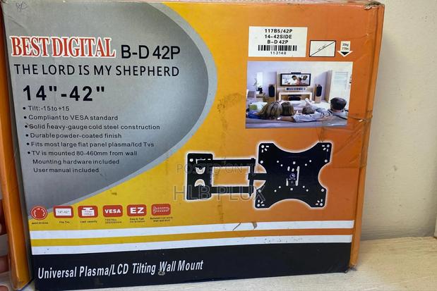 Adjustable, Convertible, Tilting Wall Mount · Photo 3
