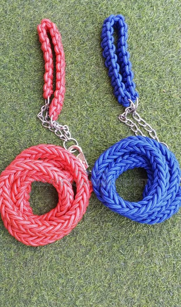 Leashes With Collars for Big Dogs · Photo 1