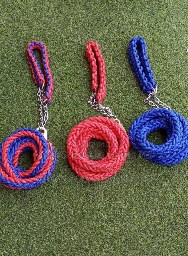 Leashes With Collars for Big Dogs · Photo 2