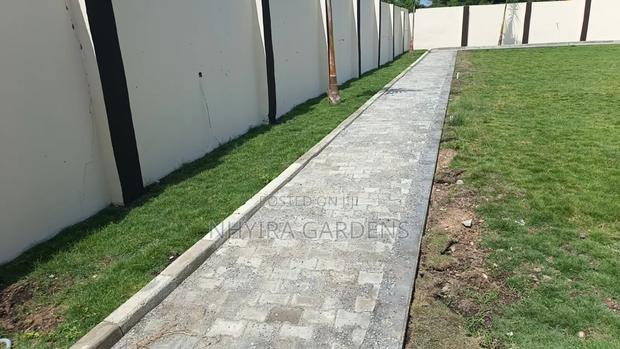 General Landscaping Service · Photo 2