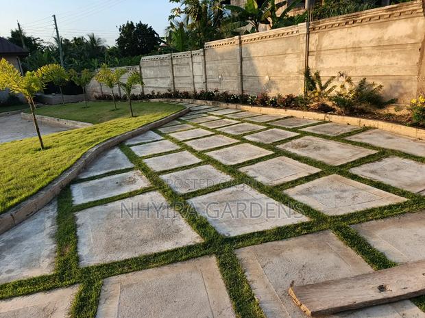 General Landscaping Service · Photo 8
