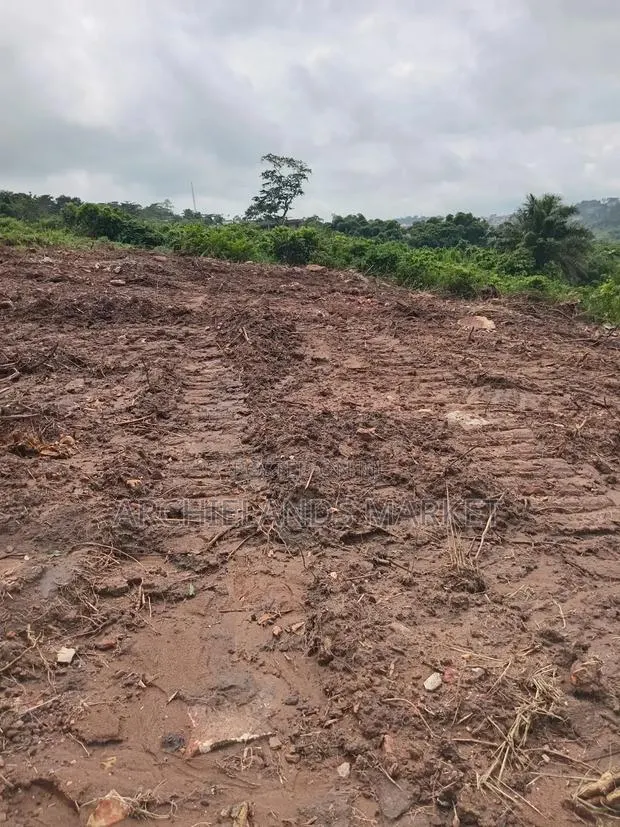 Own Land in a Fast Growing Area · Photo 1