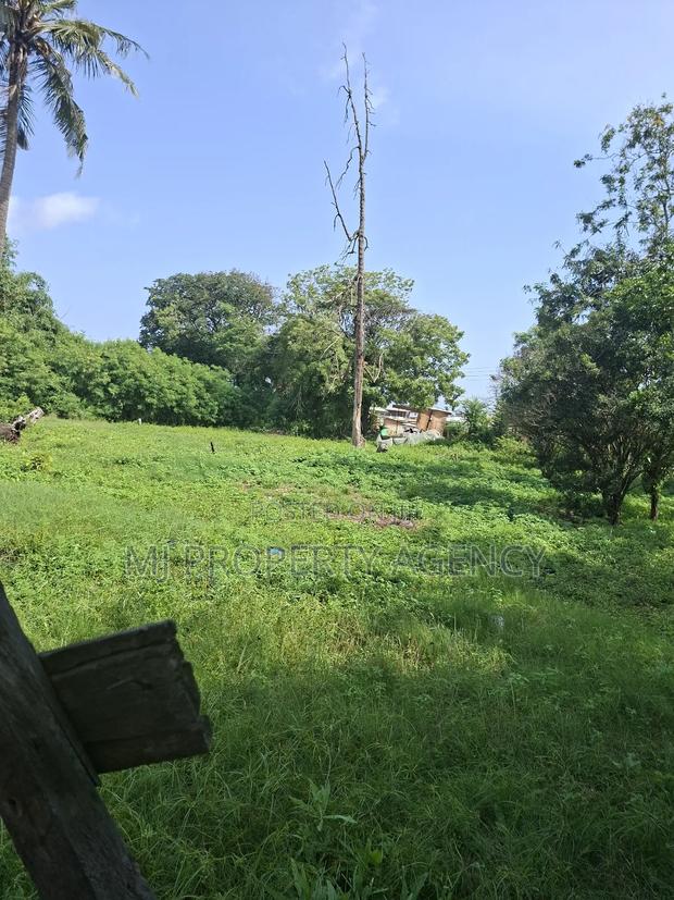 Half Roadside Commercial Plot at Community 7 · Photo 2