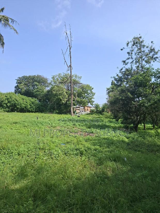 Half Roadside Commercial Plot at Community 7 · Photo 4