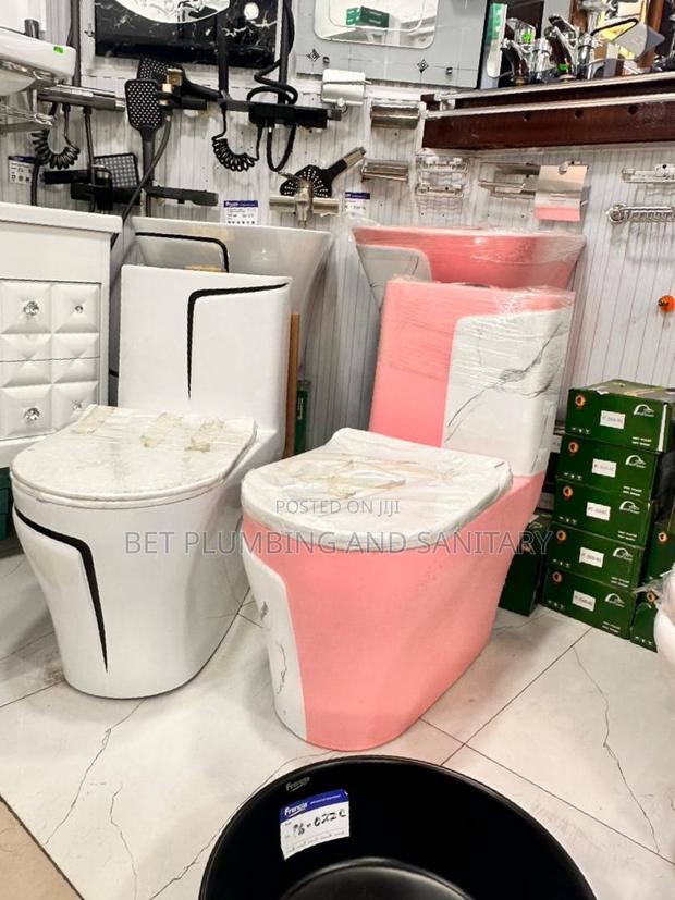 White and Pink Water Closet_combine Wc_soft Close Wc · Photo 1