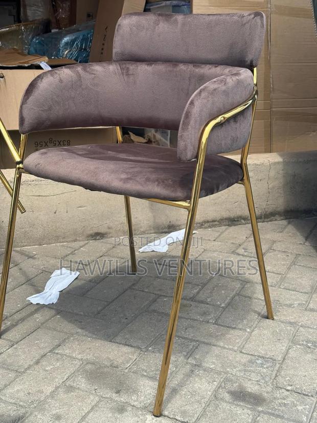 Salon Brown Velvet Chair · Photo 1