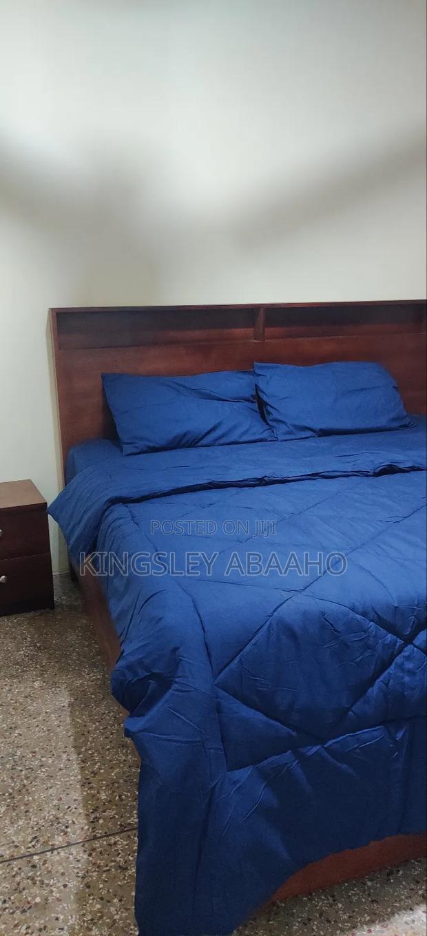 Furnished Mini Flat in Accra Metropolitan for rent · Photo 5