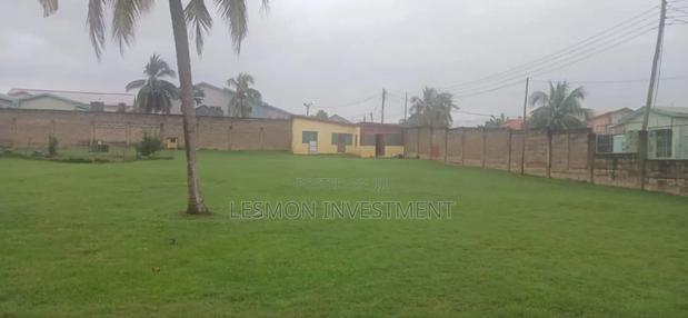 3.5 Acre Land for Sale at Nsawam- Acccra Road · Photo 5