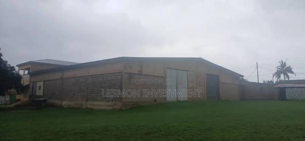 3.5 Acre Land for Sale at Nsawam- Acccra Road · Photo 6