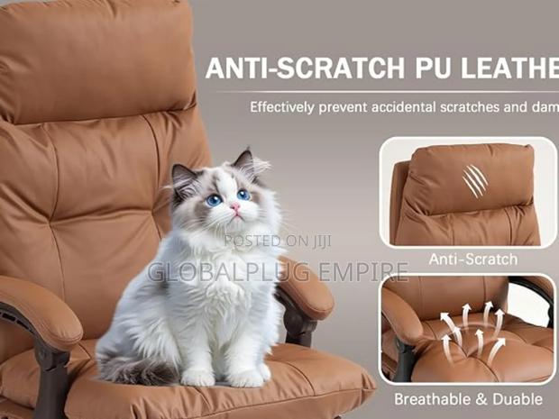 Genuine Leather Modern Executive Chair High-Back Support · Photo 5