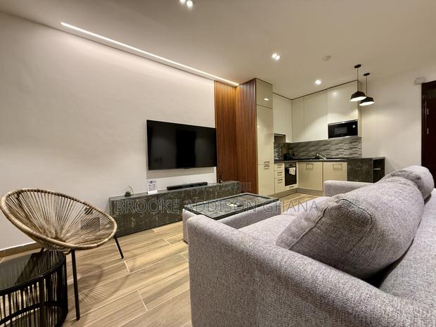 Furnished 1 Bedroom Apartment for Daily and Monthly Rental · Photo 5