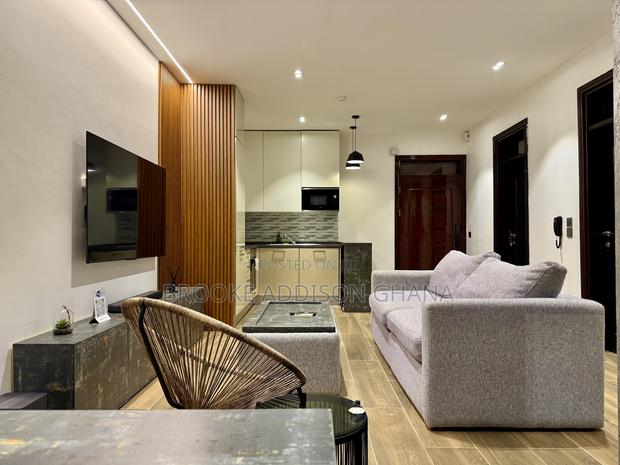 Furnished 1 Bedroom Apartment for Daily and Monthly Rental · Photo 6