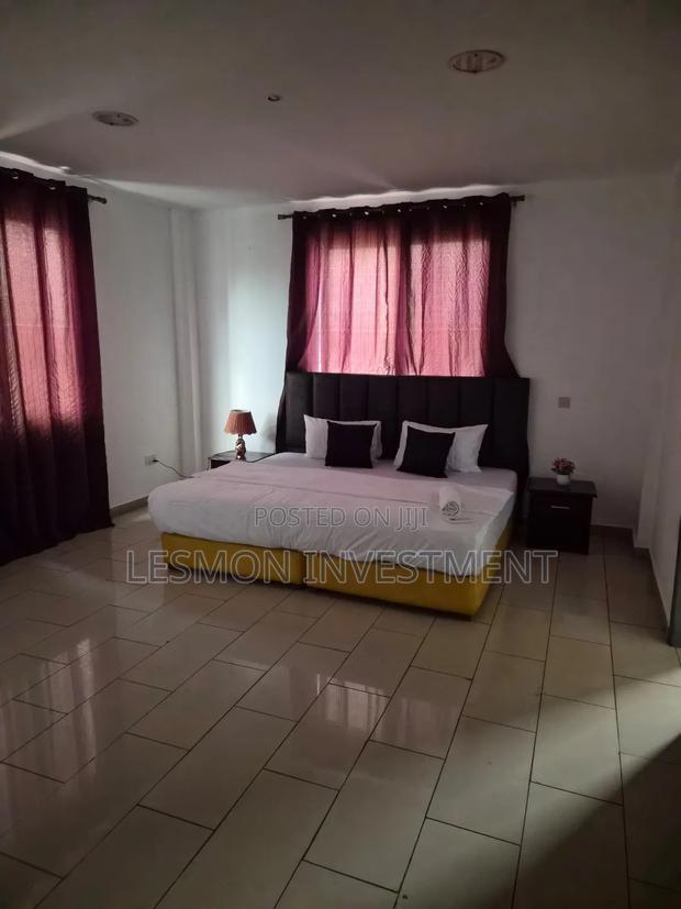 Furnished 2bdrm Apartment in Lesmon Investment, East Legon for rent · Photo 4
