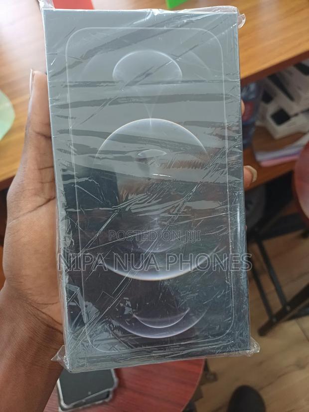 New Apple iPhone 12 Pro Max 256 GB Gray · Photo 2