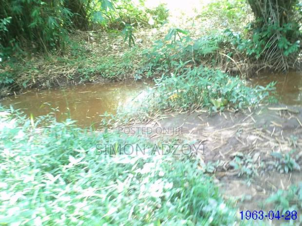 3 Kilometers Square of Gold Mining Concession for Sale · Photo 2