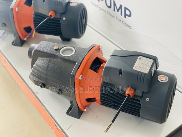 Eloquent Leo 3hp Cast Water Pump · Photo 1