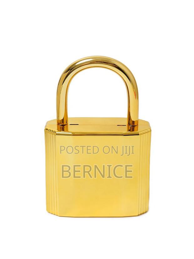 Luxury Gold and Silver Padlock Clutch – Unique Designer Style · Photo 1