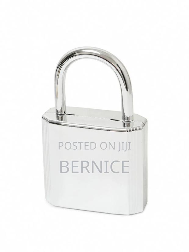 Luxury Gold and Silver Padlock Clutch – Unique Designer Style · Photo 2