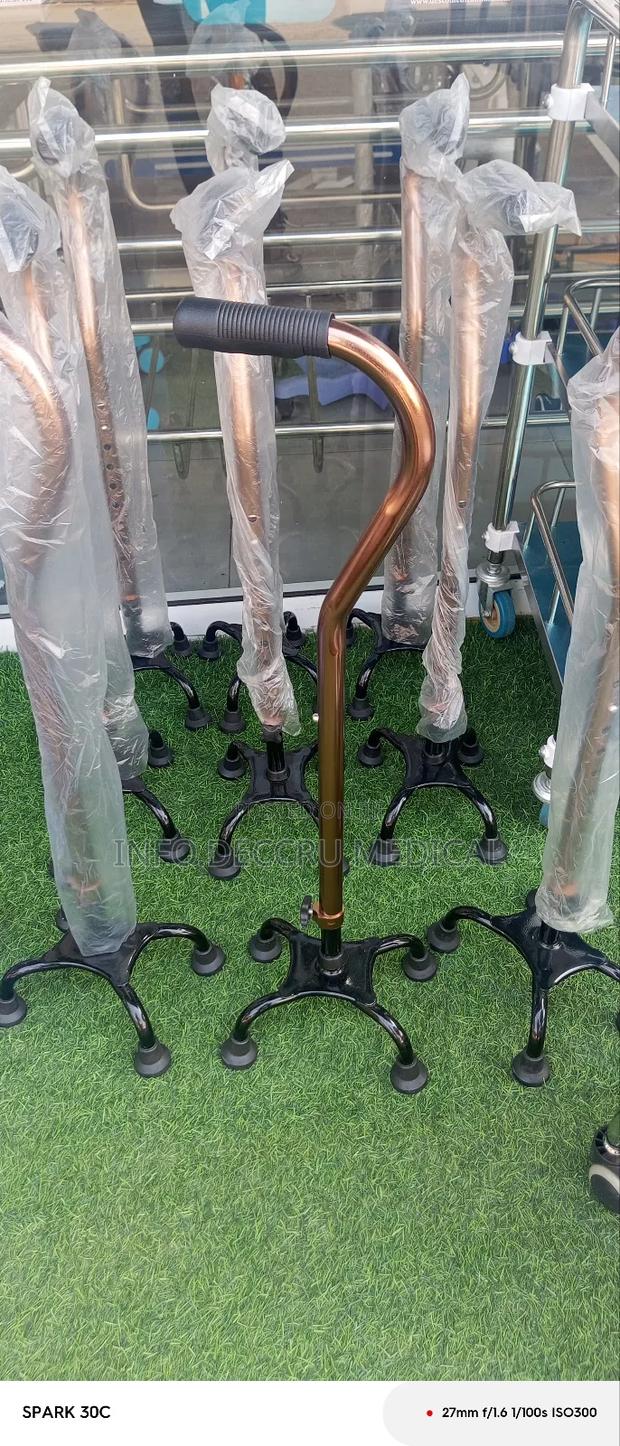 Quan Can or Four Legs Walking Stick · Photo 1