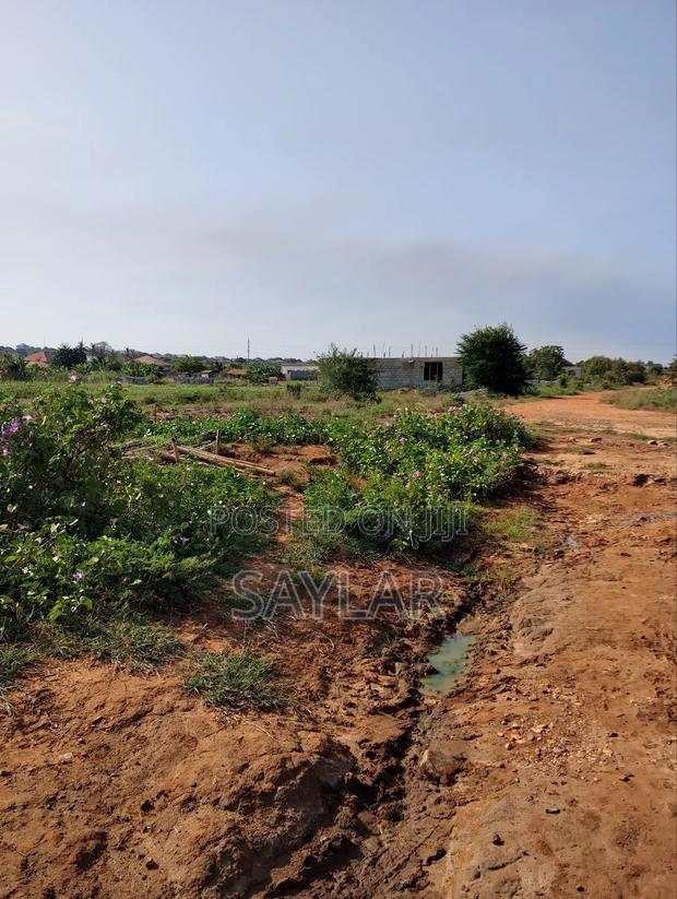 Land for Sale Afienya/Adjemador · Photo 2