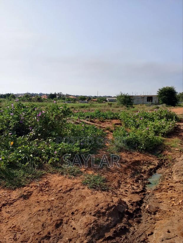Land for Sale Afienya/Adjemador · Photo 3