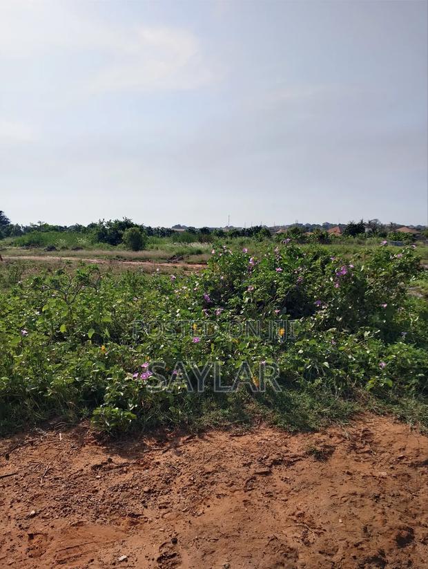 Land for Sale Afienya/Adjemador · Photo 4