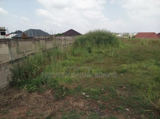One Acre Plot of Land for Sale at Agric Yabi · Photo 5
