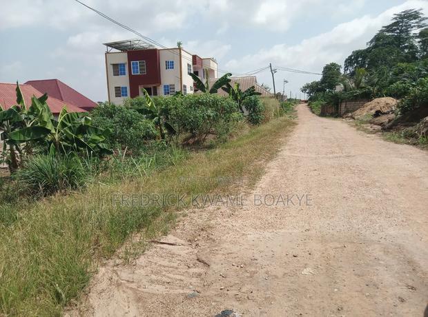 One Acre Plot of Land for Sale at Agric Yabi · Photo 2