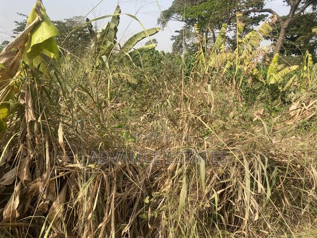 Land for Sale at Donyina, Tech · Photo 2