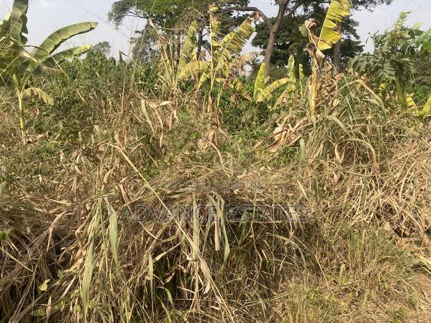 Land for Sale at Donyina, Tech · Photo 1